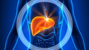 Liver Issues