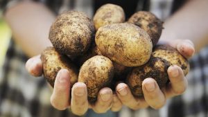 3 foods bad for diabetes type 2